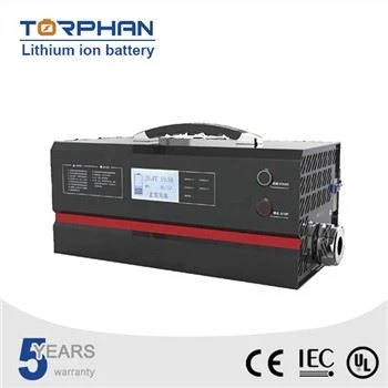 48v Lithium Battery Charger għall-Karozza