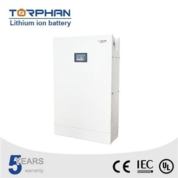 Lithium Ion Battery Lifepo4 Pack